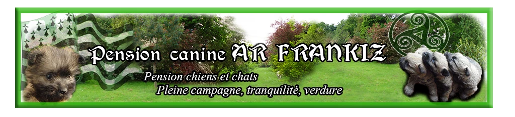 PENSION CANINE AR FRANKIZ